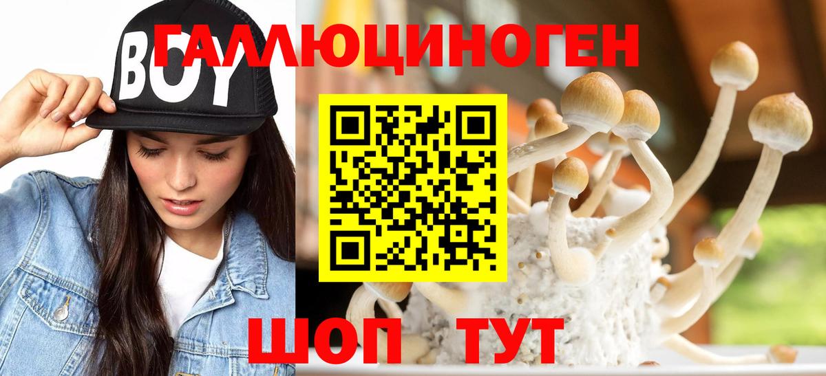 Псилоцибиновые грибы прущие грибы Ханты-Мансийск